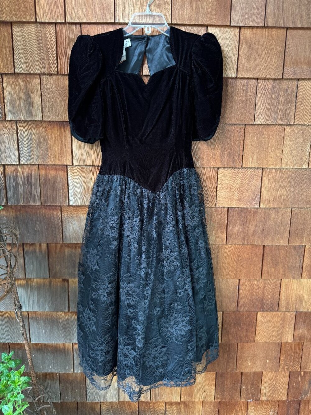 Scott McClintock Black Velvet and Lace Short Sleeve Vintage Dress in Women's 6